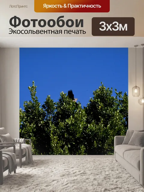 Фотообои Птица в деревьях