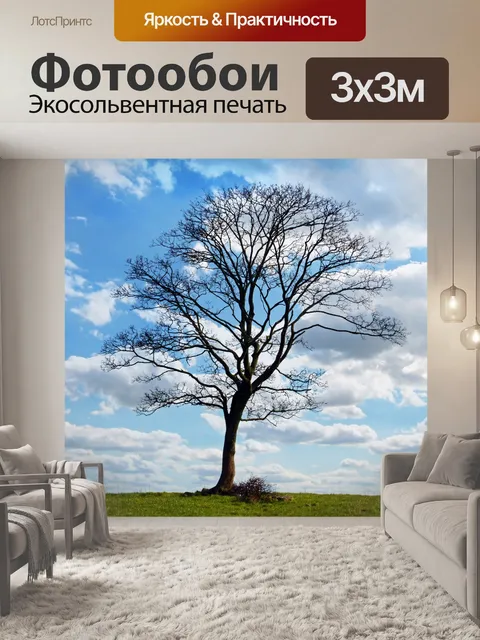 Фотообои Один деревьев и голубое небо