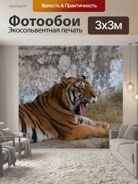 Фотообои Тигр