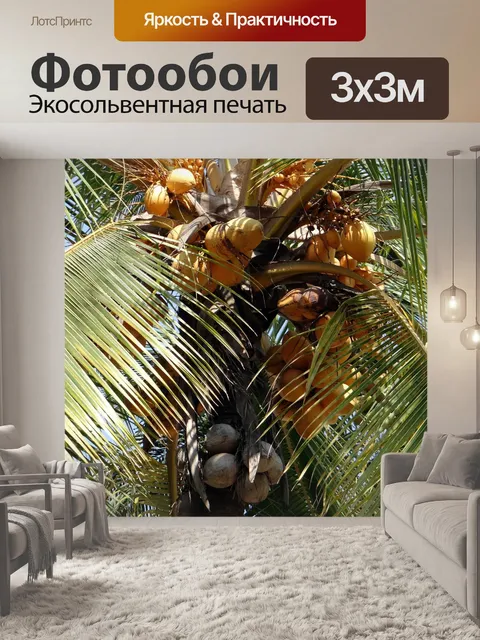 Фотообои Кокосы