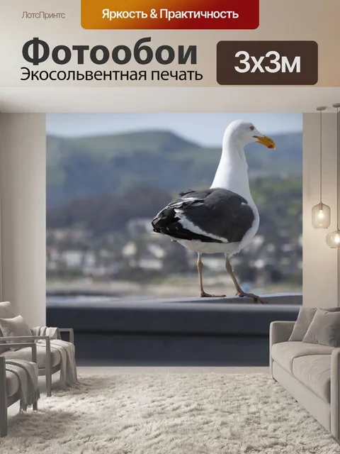 Фотообои Чайка на балконе