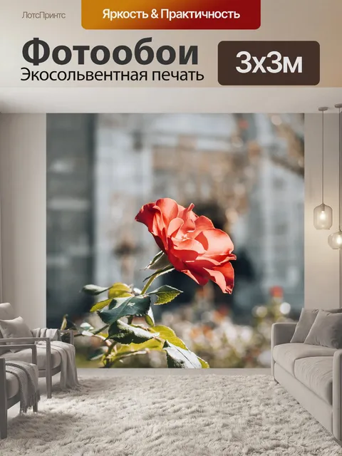 Фотообои Роуз
