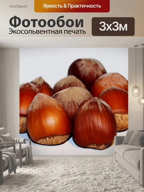 Фотообои Лесной орех
