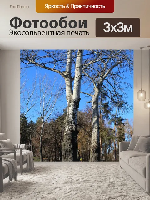 Фотообои Дерево