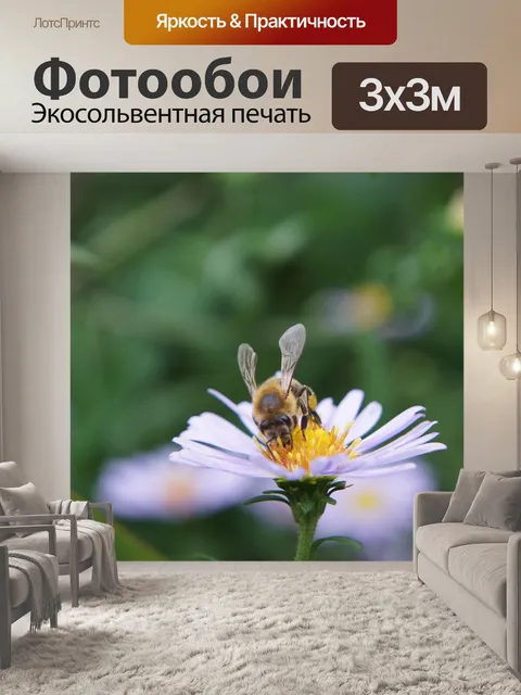 Фотообои Астра