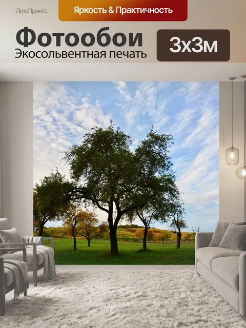 Фотообои Деревья