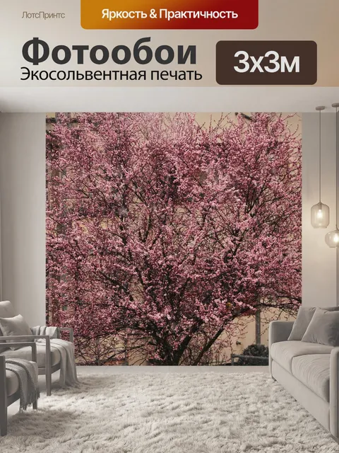 Фотообои Вишни в цвету