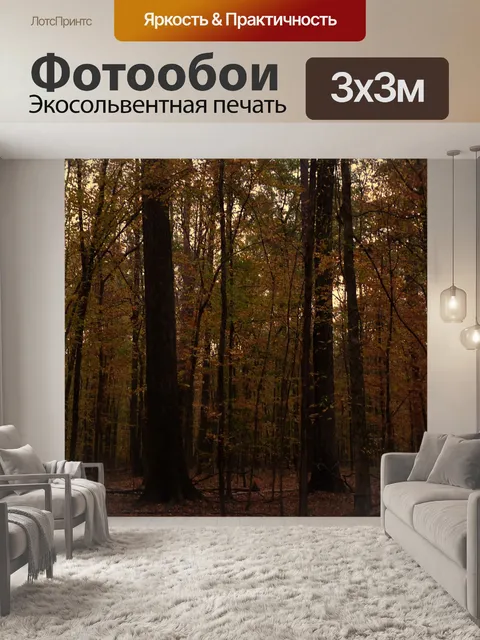 Фотообои Лесные Посмотреть