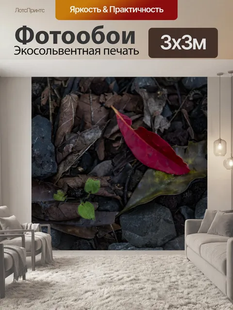 Фотообои Дождевой лес