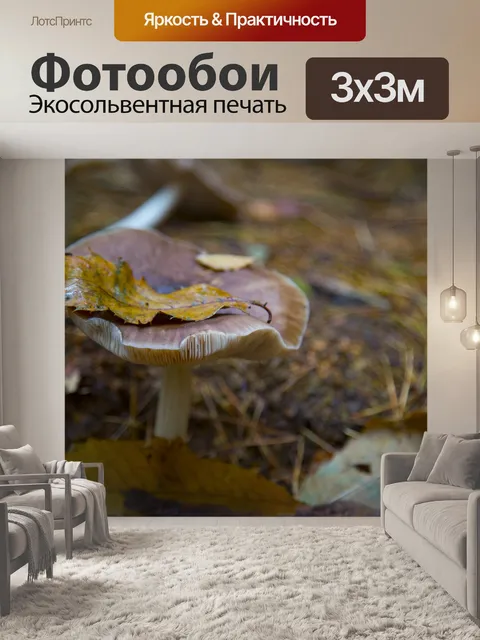 Фотообои грибы