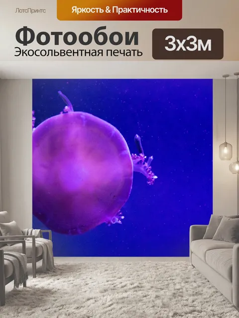 Фотообои медуза
