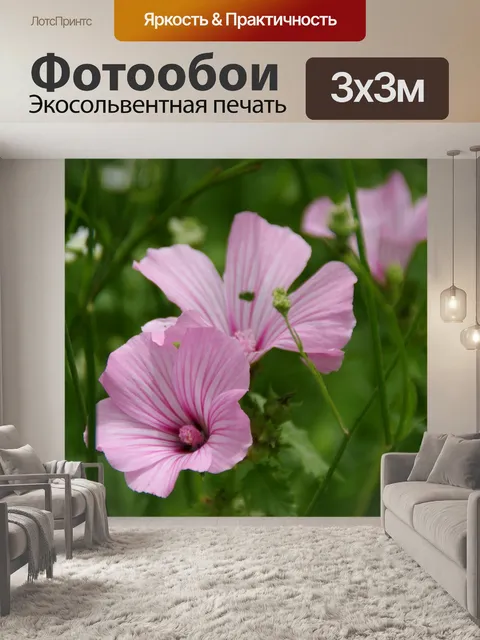 Фотообои Розовые полевые цветы на зеленом лугу
