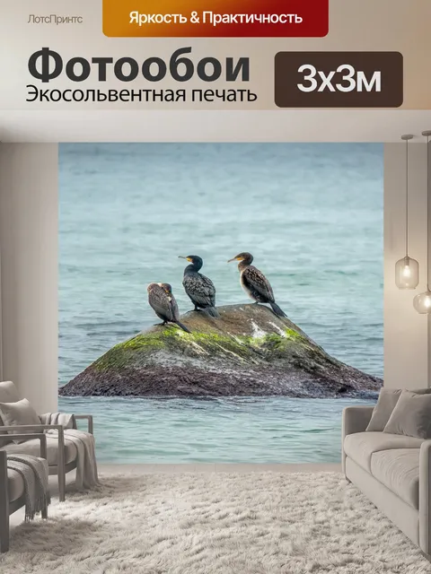 Фотообои Бакланы