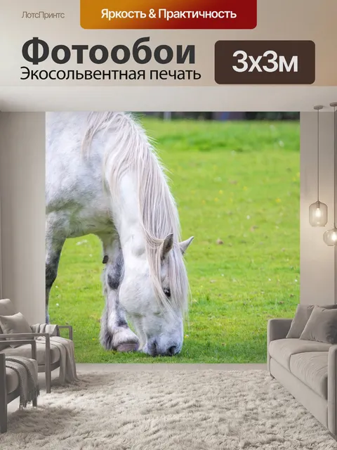 Фотообои Белая лошадь