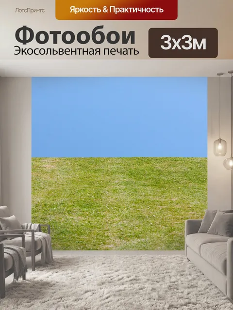 Фотообои Зеленая трава Blue Sky
