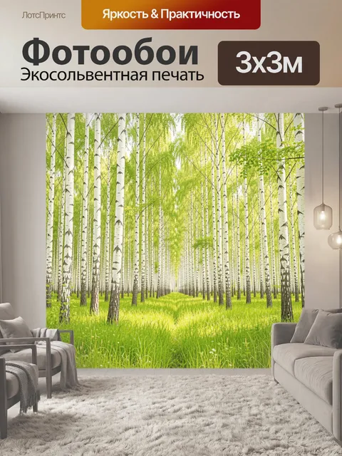 Фотообои Берёзовая роща с зелёной травой