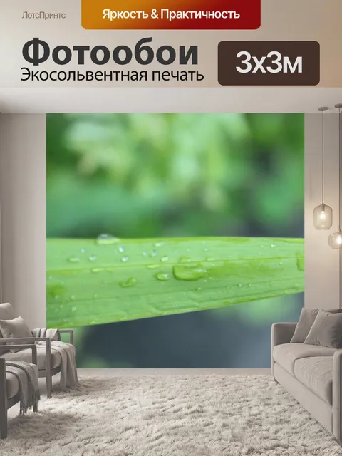 Фотообои длинный лист с каплями воды