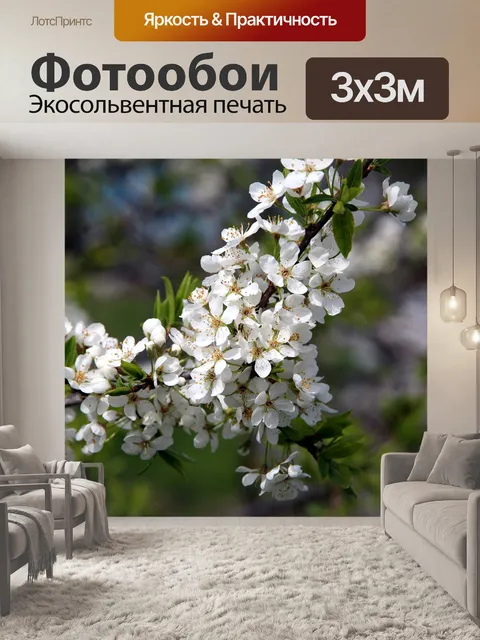 Фотообои Вишня