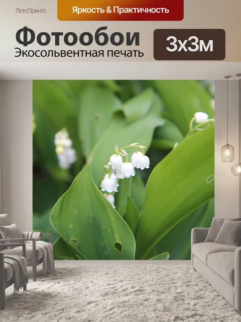 Фотообои Ландыш