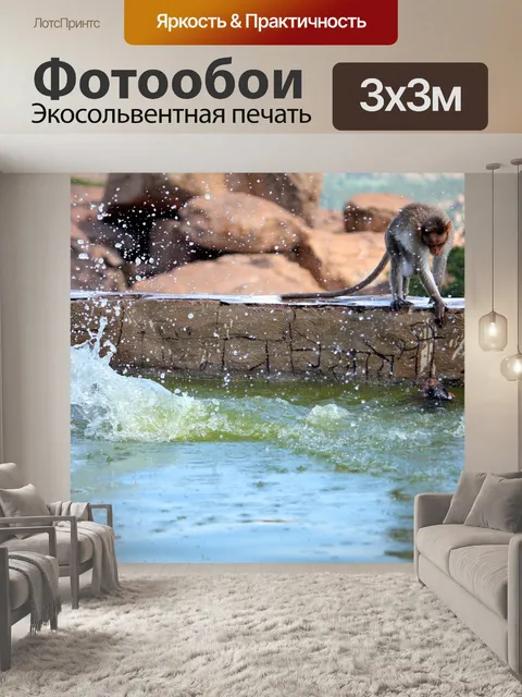 Фотообои Обезьяна