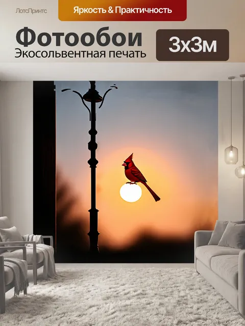 Фотообои вечернее солнце освещает красного кардинала