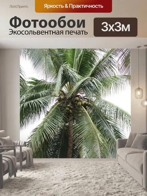 Фотообои Кокосовая пальма