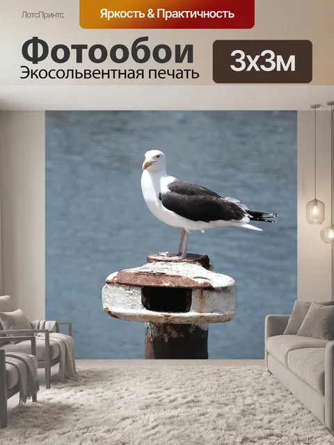 Фотообои Чайка в открытом море