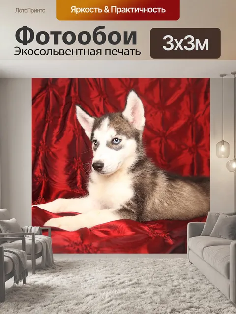 Фотообои Собака