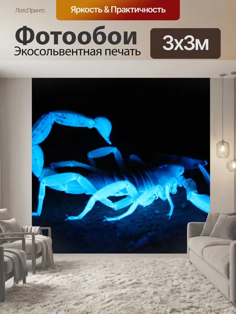 Фотообои Гигантская волосатая Scorpion