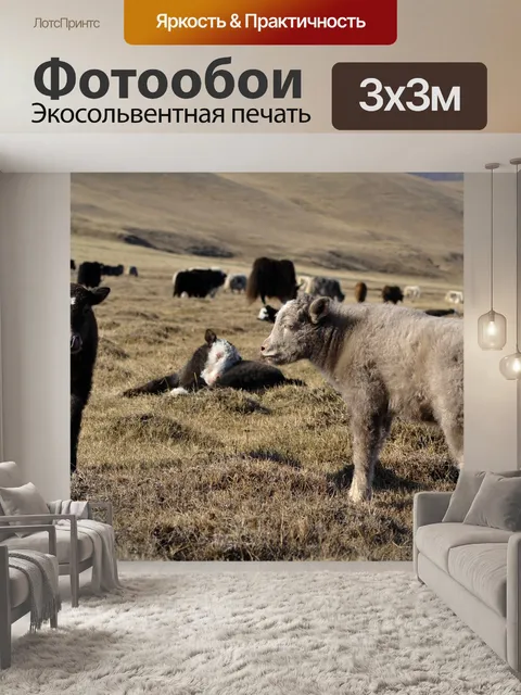 Фотообои Як
