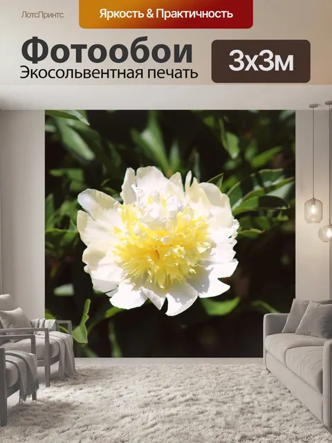 Фотообои Цветок