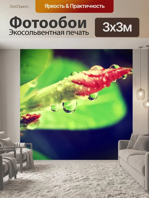 Фотообои Красивый цветок