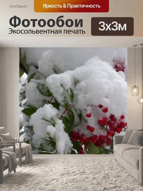 Фотообои Ягоды рябины