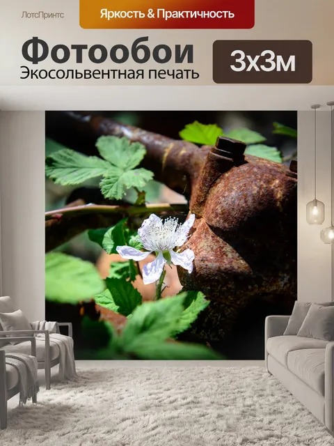 Фотообои Цветок в ржавчине