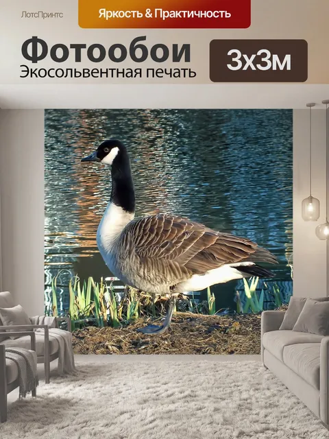 Фотообои Гусь