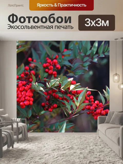 Фотообои красные ягоды на священном бамбуке