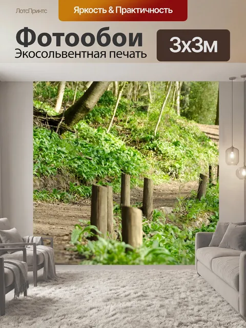 Фотообои Лес