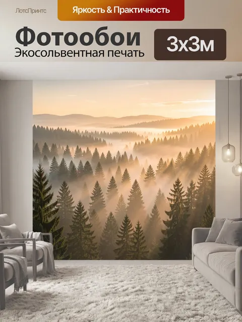 Фотообои Сосновый лес в тумане на закате