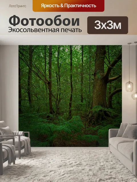 фотообои лес в стиле неоромантизм: загадочный лес с причудливыми ветвями деревьев и густым подлеском