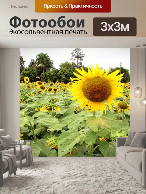 Фотообои поле подсолнухов, подсолнухи