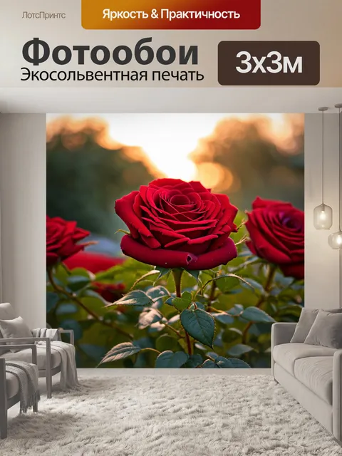 Фотообои красные розы в вечернем свете