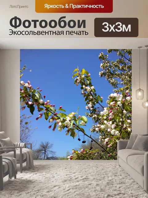 Фотообои Небо