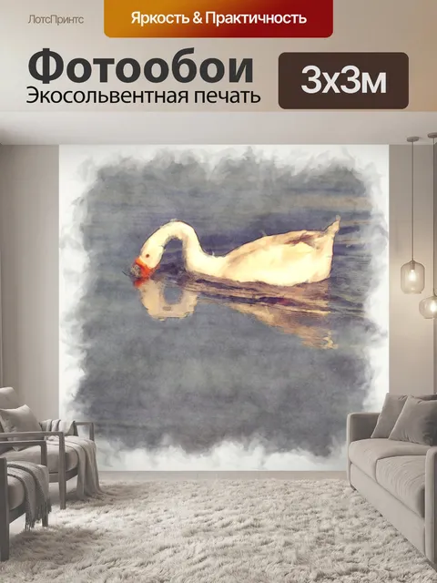 Фотообои плавание лебедя