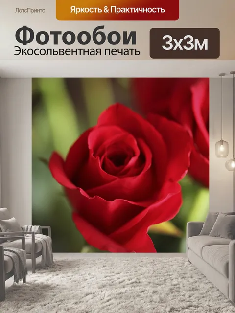 Фотообои Роза