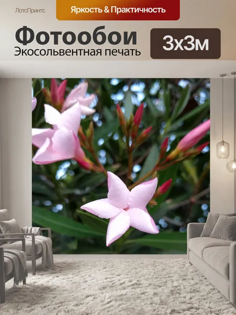Фотообои Розовый