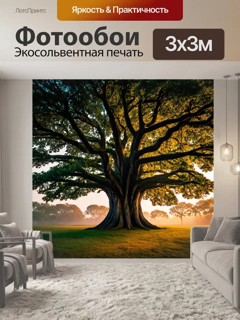 Фотообои гигантское дерево с плотными кронами, освещенное рассветом, с дыханием спокойствия вокруг