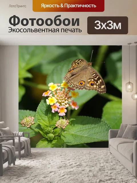 Фотообои Бабочка