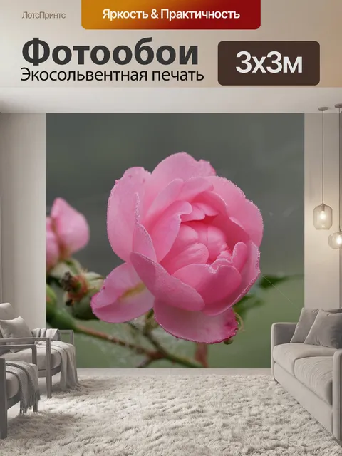 Фотообои Сад