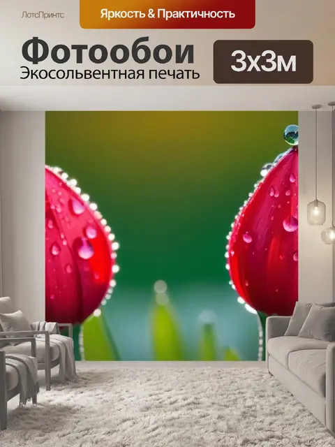 Фотообои тюльпаны в каплях росы