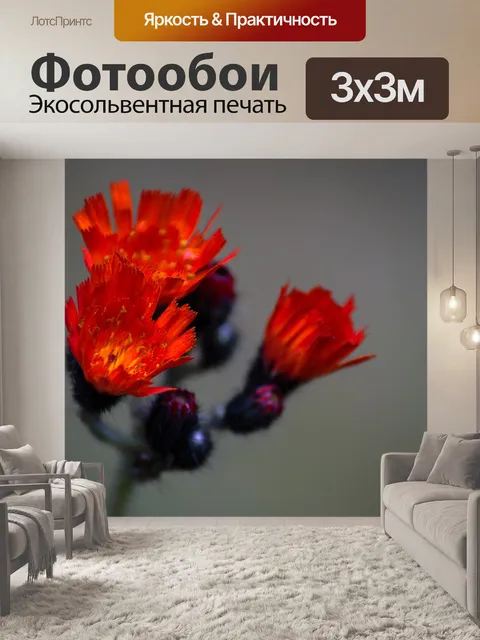 Фотообои Цветок